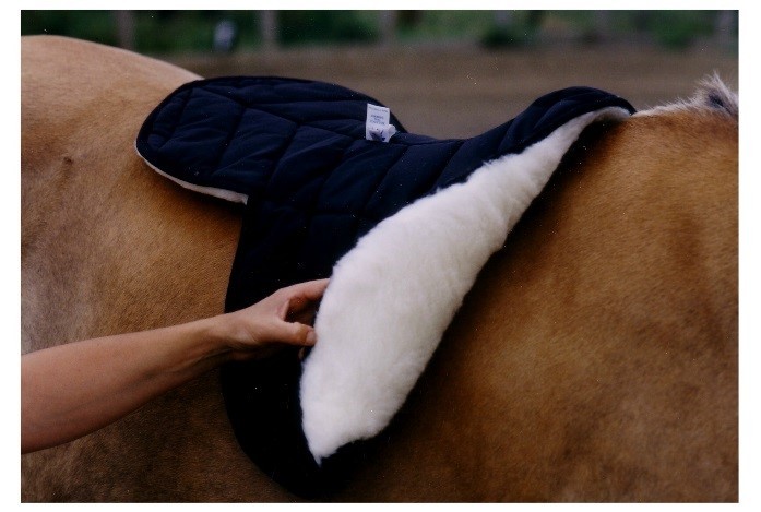 Tapis d'équilibre / Balance Pad Airex