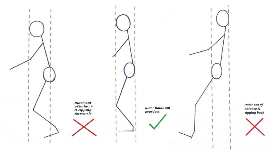 BALANCE Saddling - Riding in a BALANCE saddle