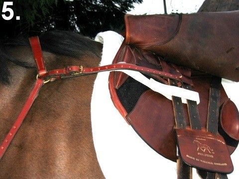 BALANCE English Hunting Style Breastplate PONY