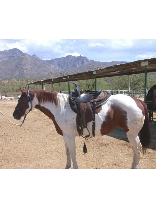 Western Saddle Pad image 4