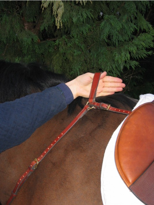 BALANCE English Hunting Style Breastplate PONY image 2