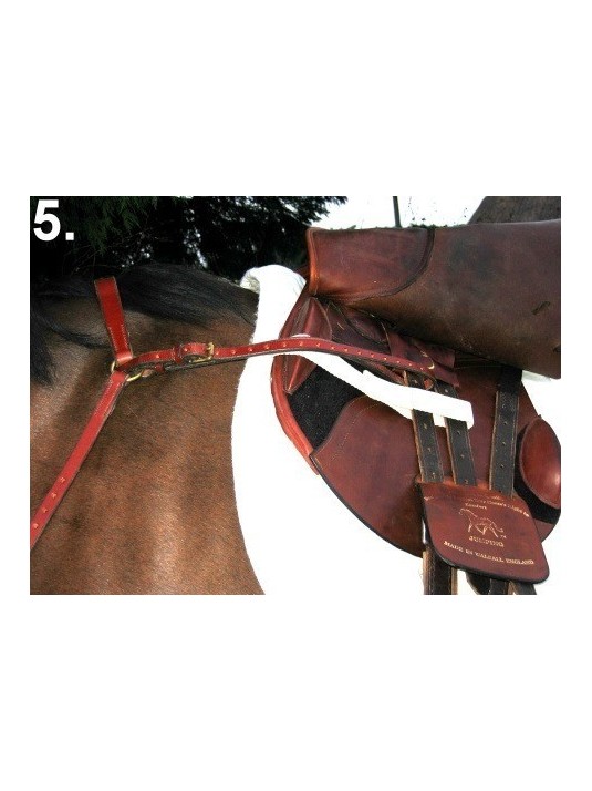 BALANCE English Hunting Style Breastplate PONY image 1