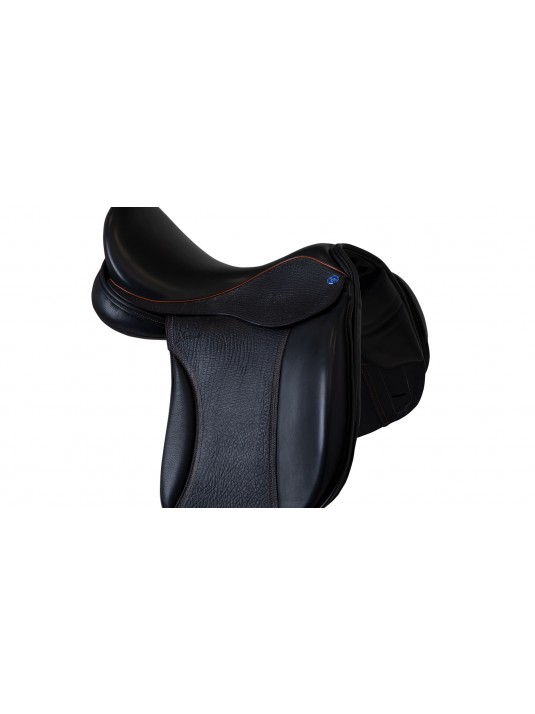 Xtreme Dressage built on the Equinox Tree (XDE) image 1