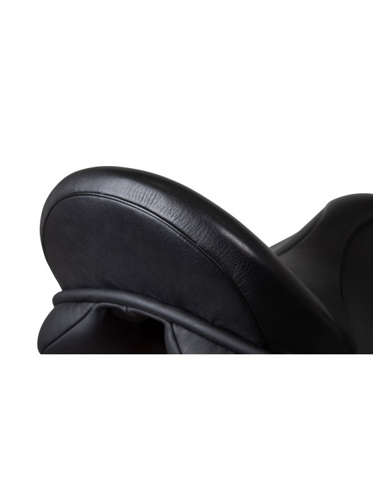 Equinox Dressage image 2