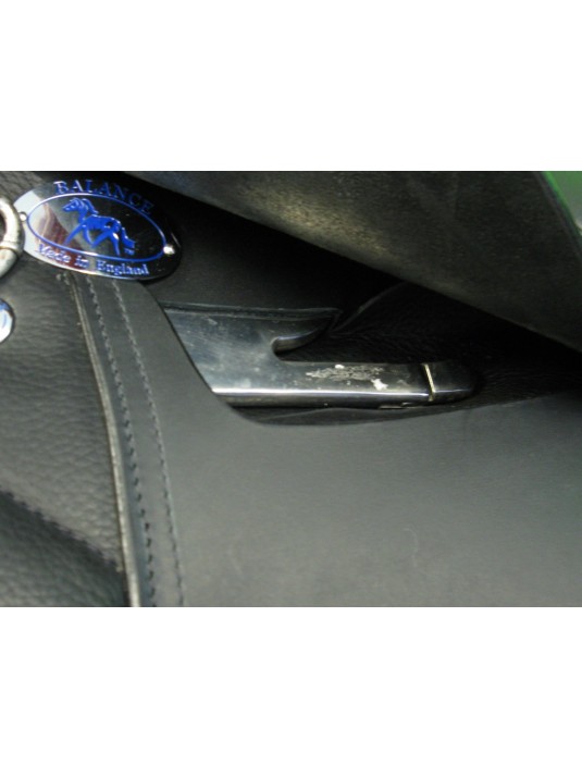 Zenith Dressage image 4