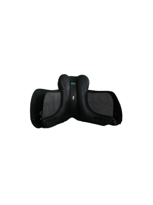 Zenith Dressage image 2