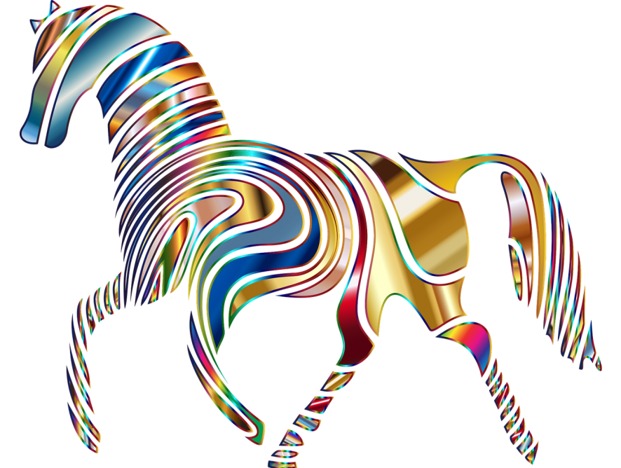 I haven’t had a single problem with Lachlan’s back again. He’s pain-free, light in the hand, happy to be saddled, and has returned to his happy willing self