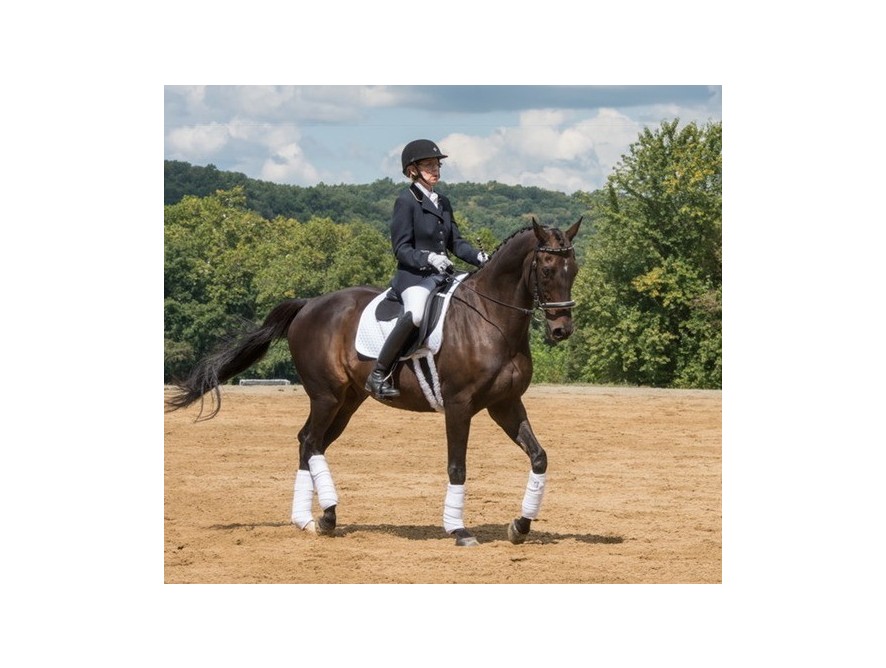 Kissing Spine symptoms go after changing to the BALANCE system.